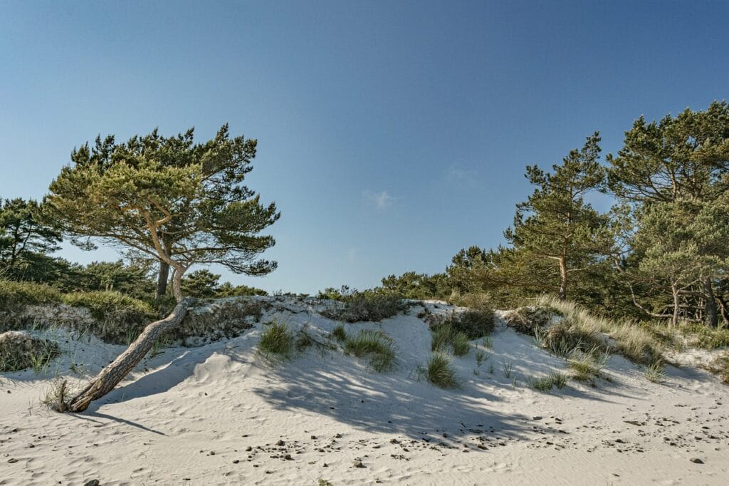Najbardziej egzotycznie wyglądające plaże w Polsce