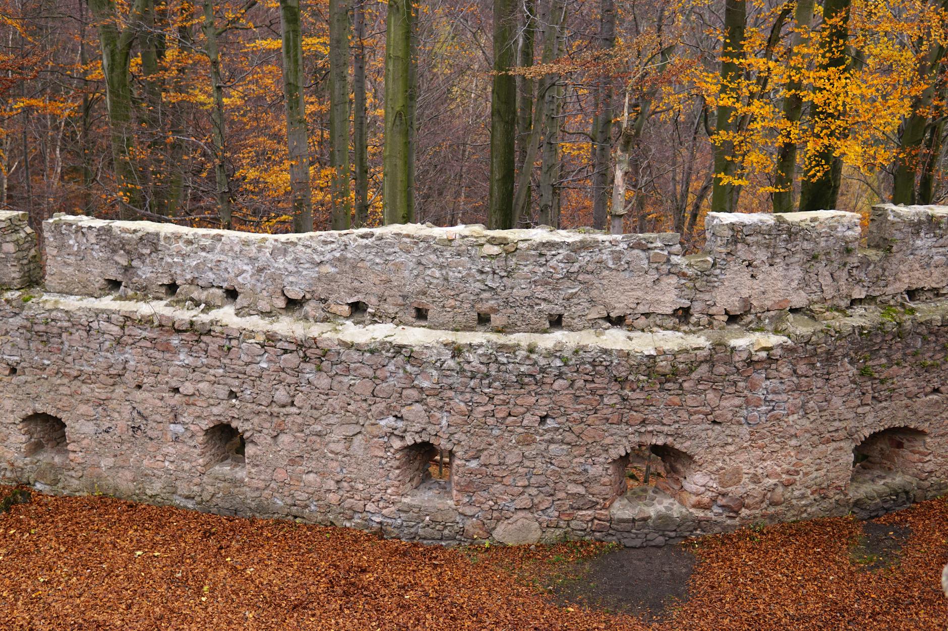 Jesienne ruiny kamiennego zamku wśród drzew na Pomorzu