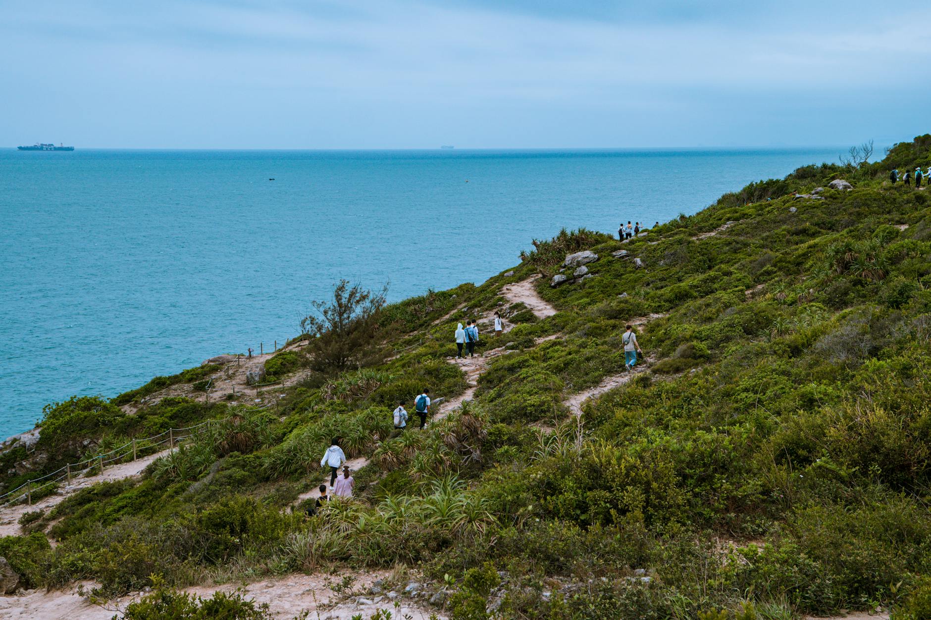 Turyści na zielonym nadmorskim szlaku z widokiem na morze