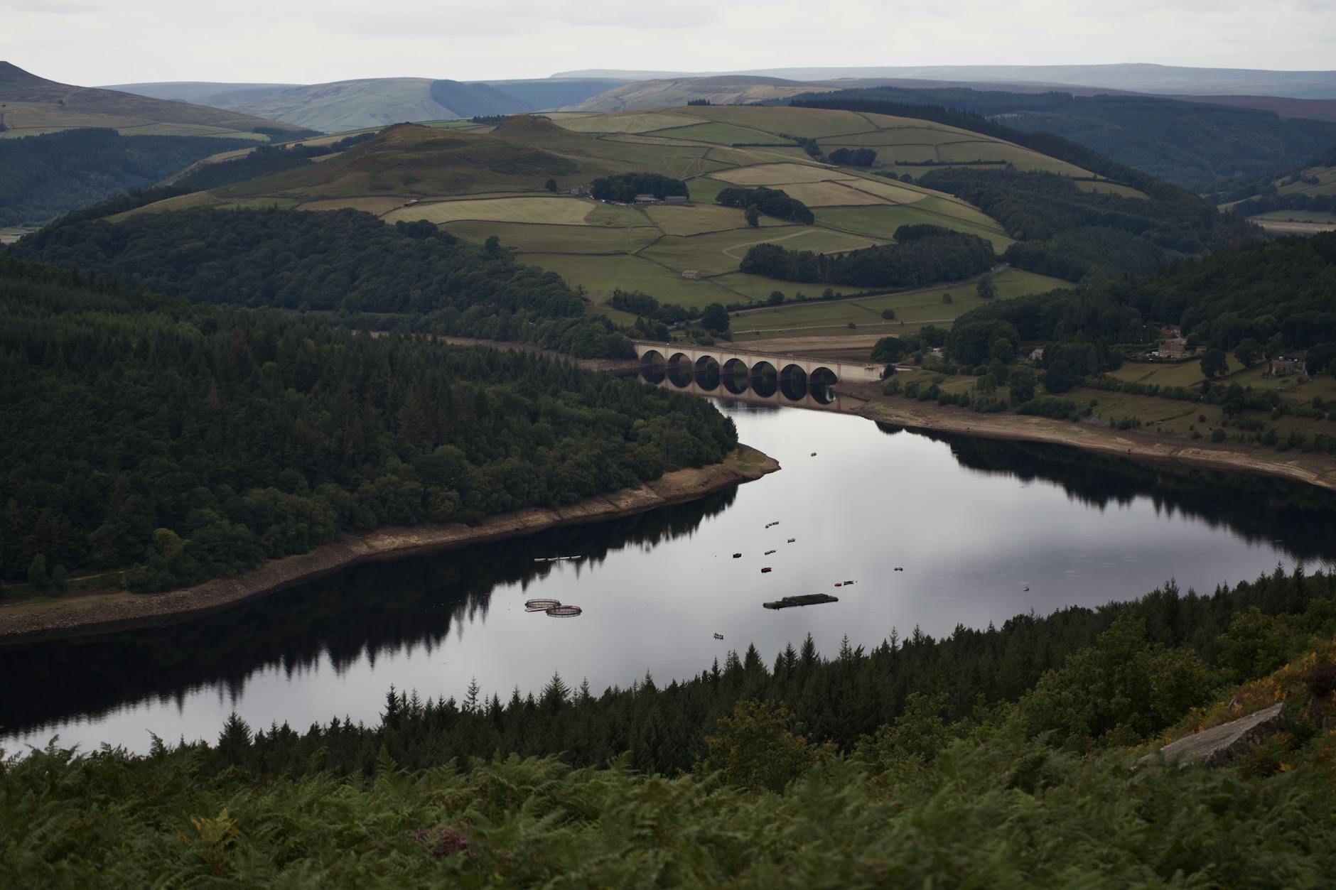Panorama kaszubskiego jeziora z punktu widokowego na wzgórzu