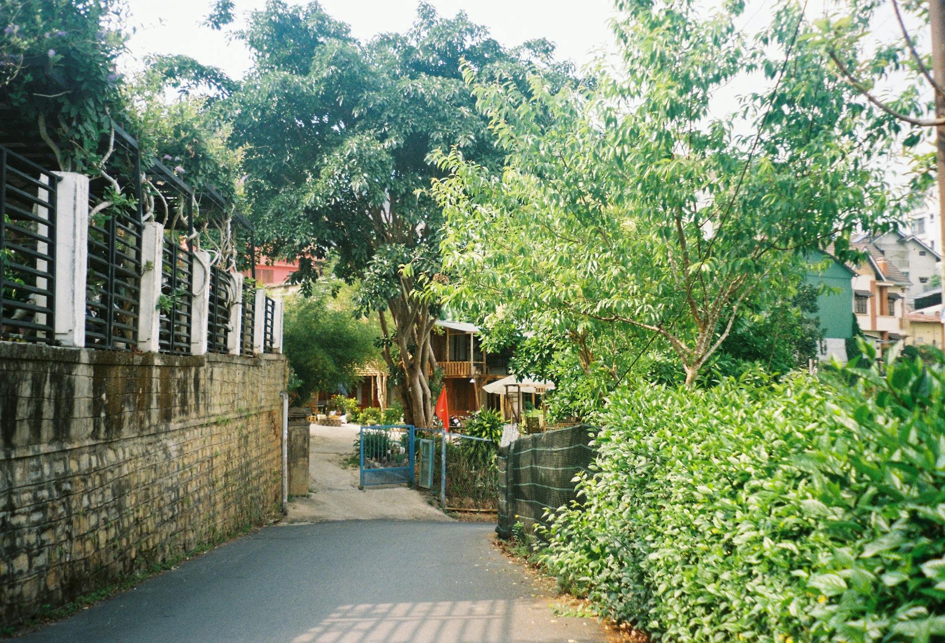 Spokojna, zielona uliczka z ogrodzeniami w willowej dzielnicy Sopotu