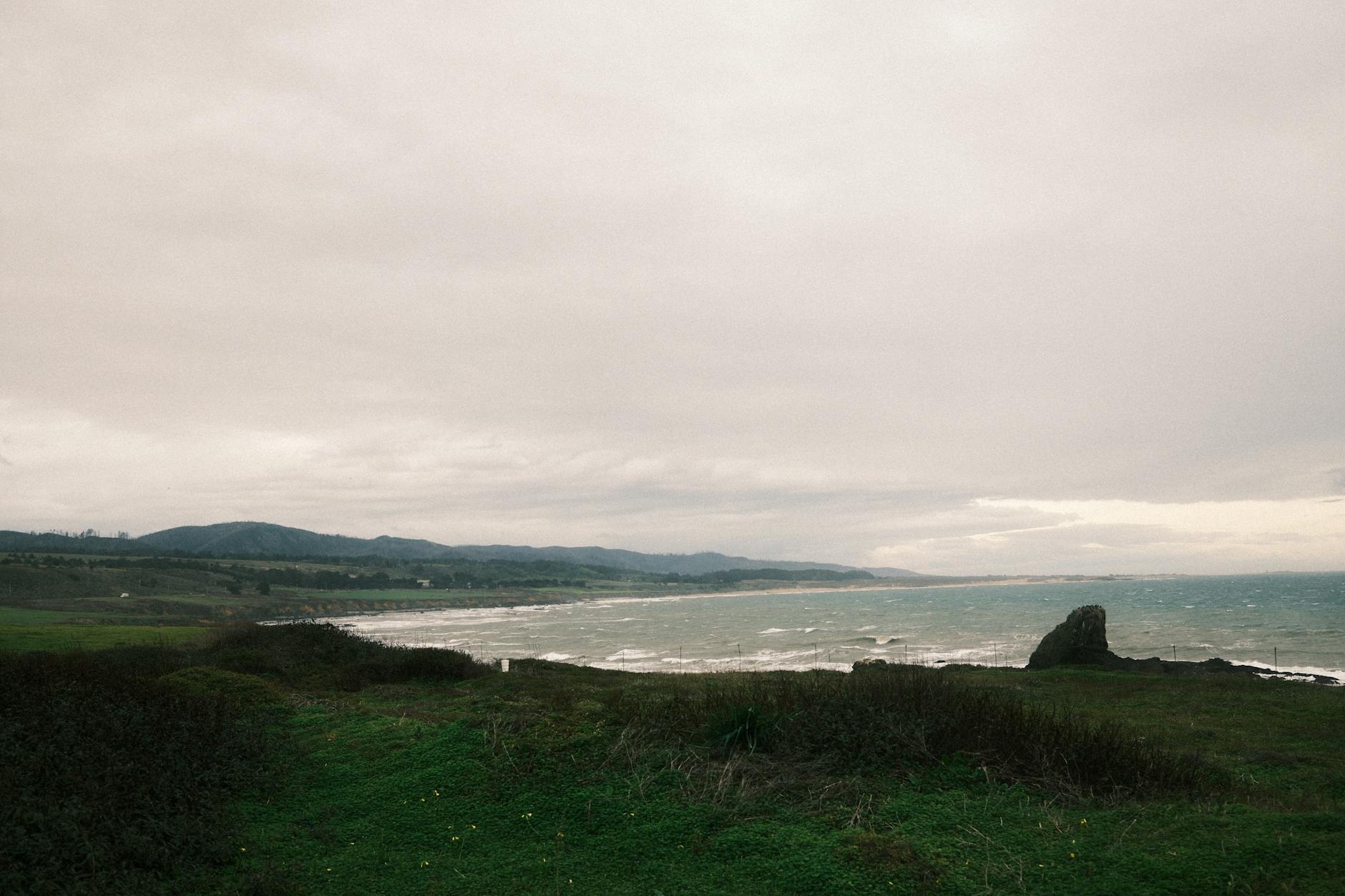 Zielone klify Kępy Redłowskiej nad błękitnym morzem z widokiem na miasto