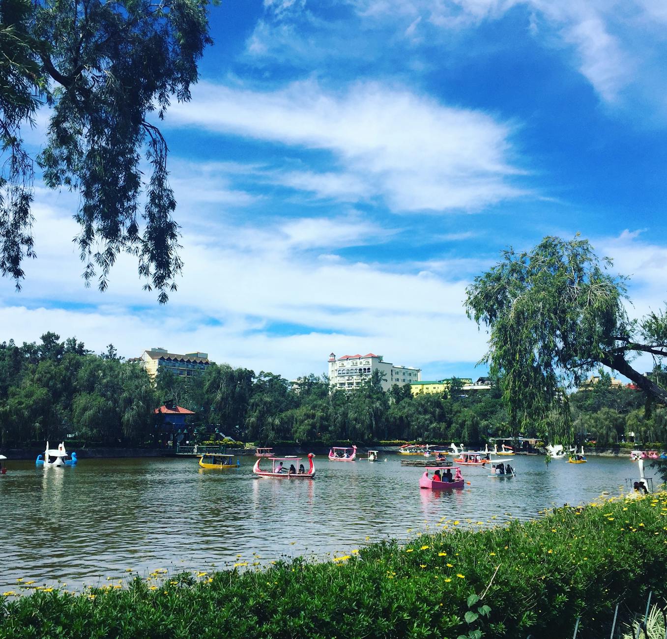 Kolorowe łódki wodne na jeziorze otoczonym zielenią