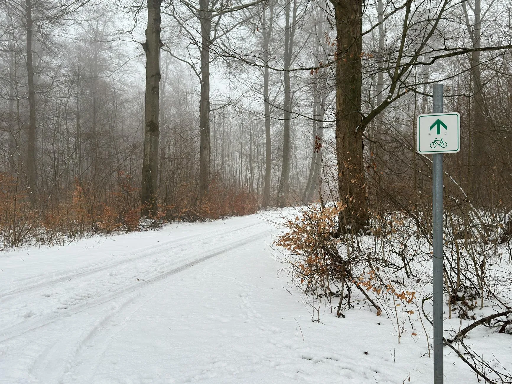 Zimowa leśna ścieżka rowerowa pokryta śniegiem z widocznym znakiem roweru