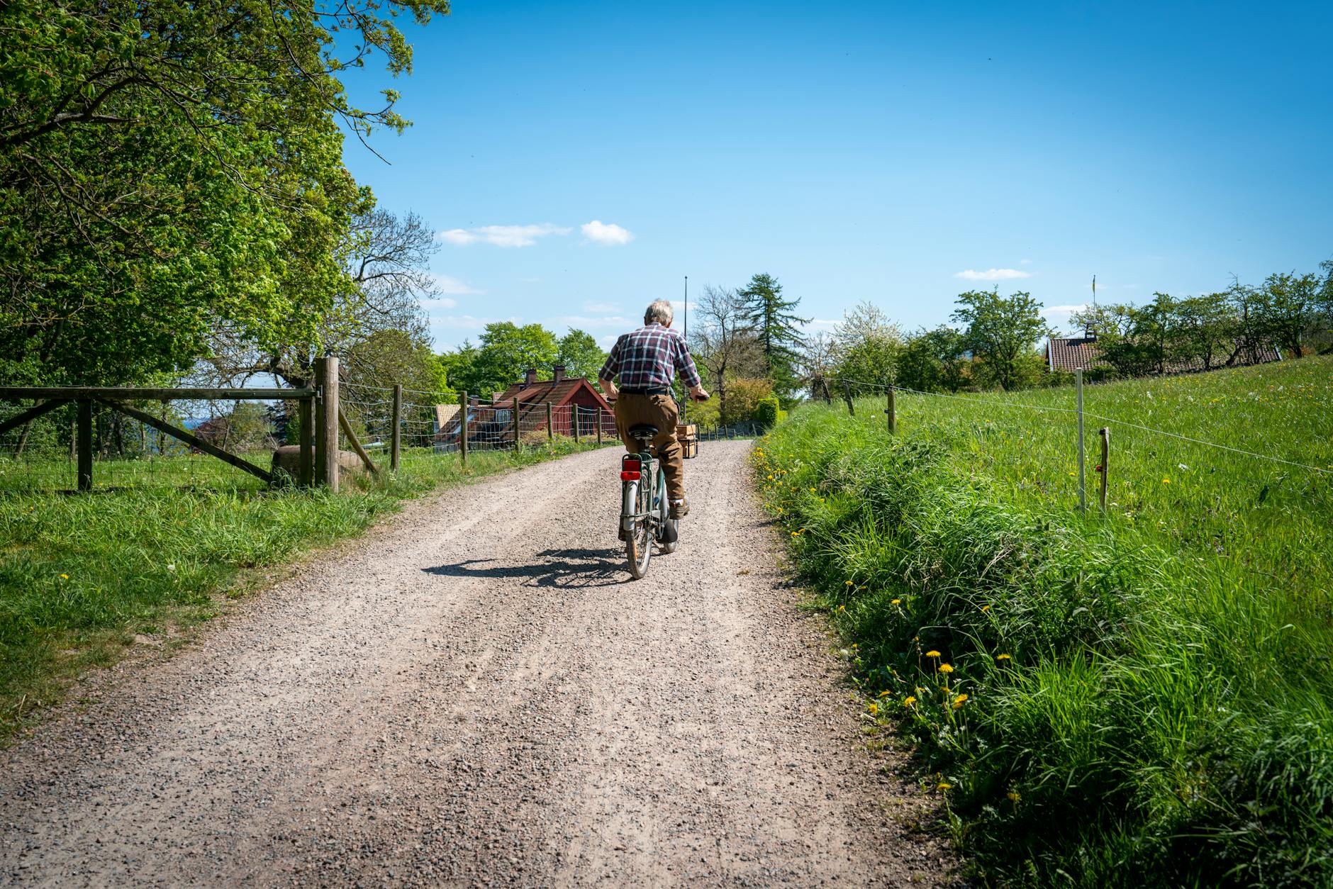 Starszy rowerzysta jedzie szutrową ścieżką wśród zielonej pomorskiej wsi