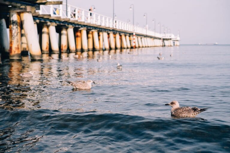 Gdynia Orłowo: gdzie zarezerwować nocleg blisko klifu i molo?